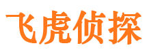 将乐市侦探公司